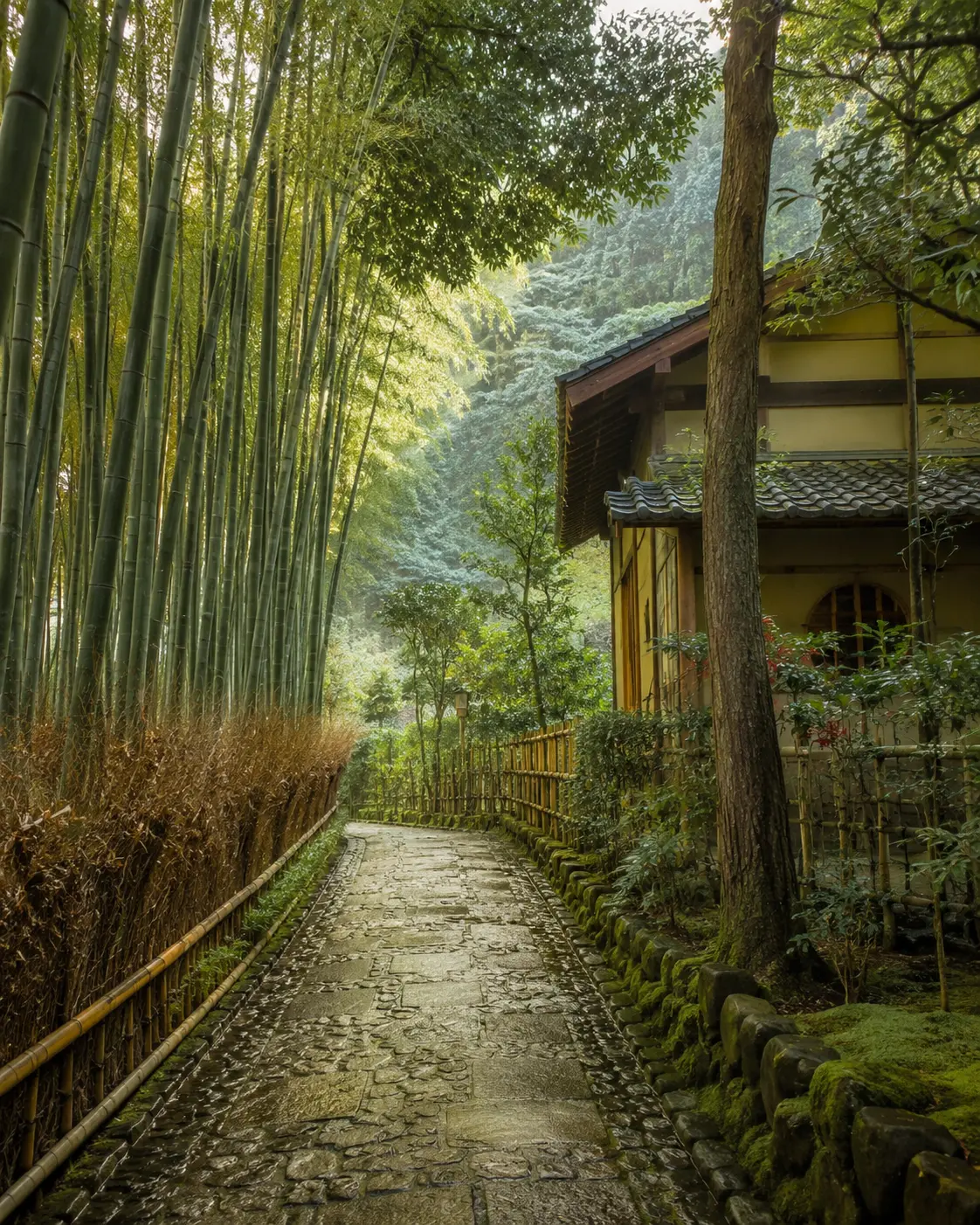 Kyoto — KOSWEN